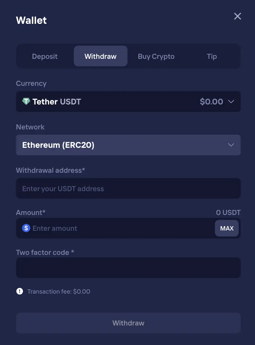 Duel wallet withdraw form with USDT address, amount field and two-factor authentication